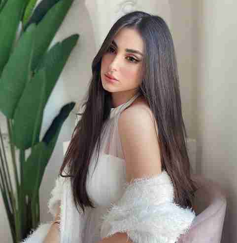 زينب العلوان ويكيبيديا