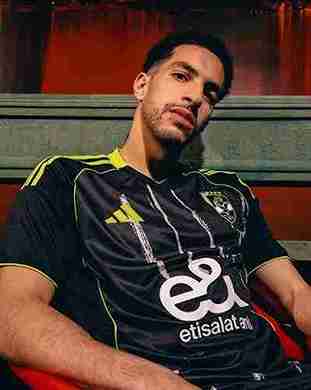 مصطفى شوبير ويكيبيديا