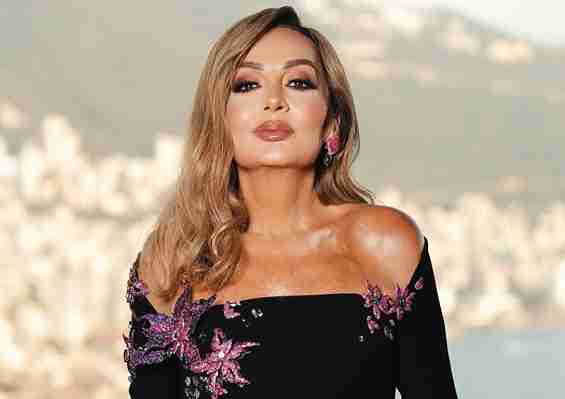 مهى سلمى ويكيبيديا