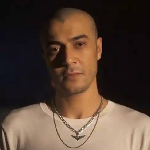 شاهين راب ويكيبيديا