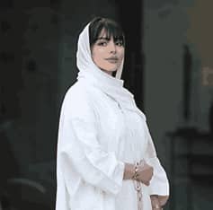 ملاك الحسيني ويكيبيديا