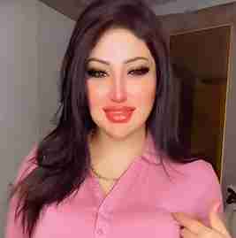 نورهان حفظي ويكيبيديا